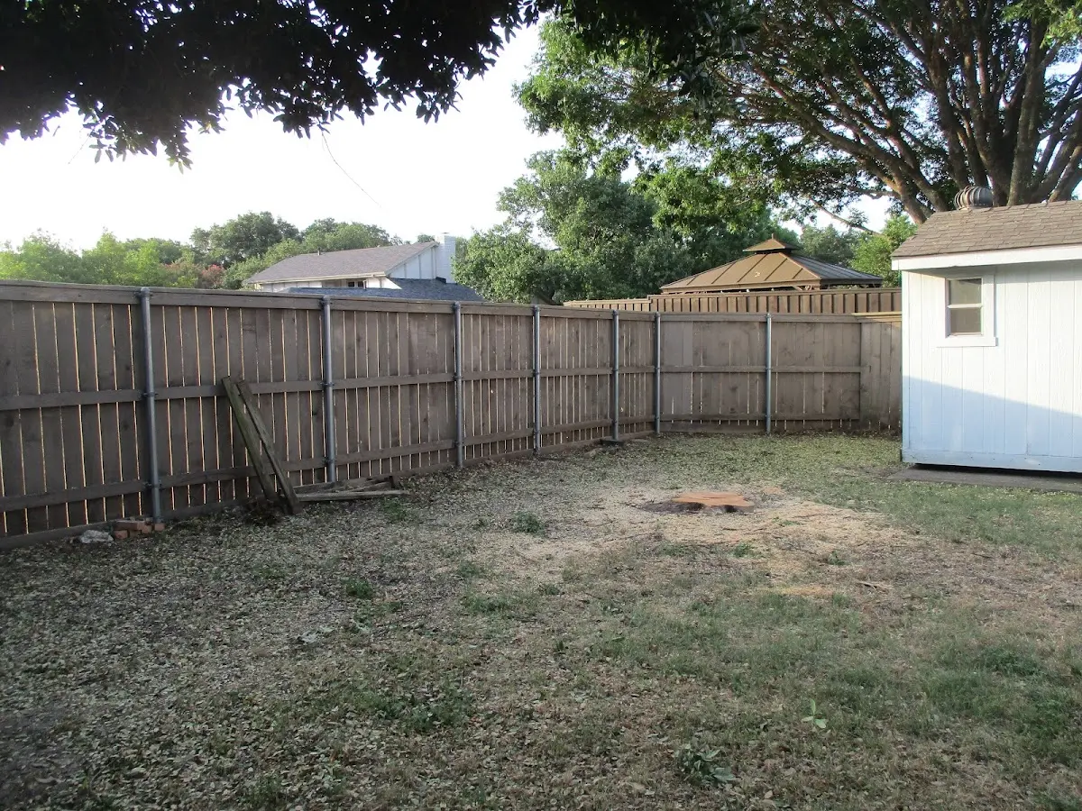 Cleared yard after professional tree removal in Glenwood Springs