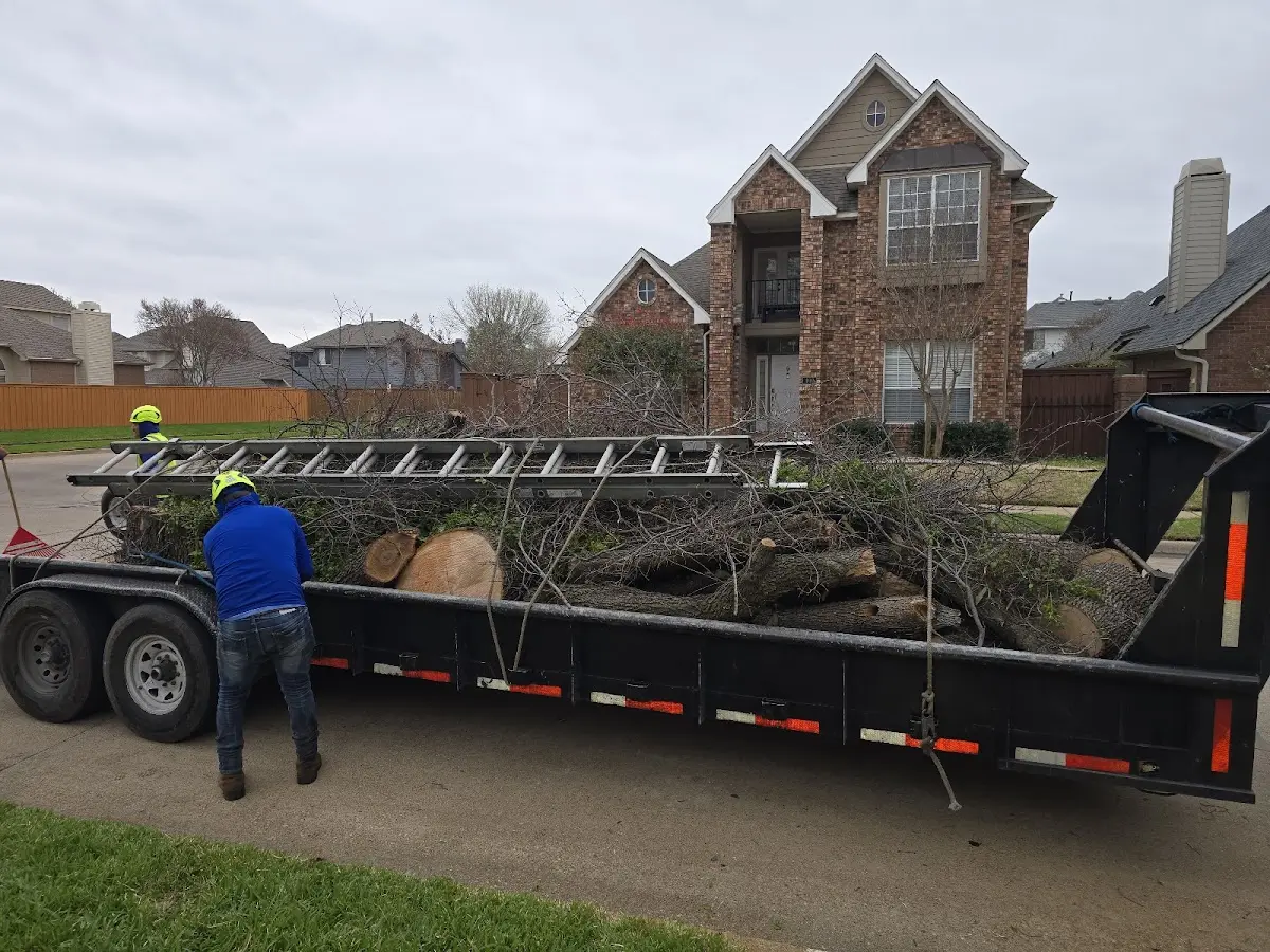 Expert Tree Fertilization with proper safety equipment in Glenwood Springs